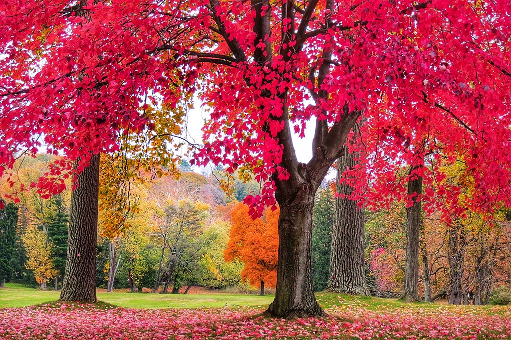 Lyndhurst Castle, Tarrytown, New York, USA Lyndhurst is a … Flickr