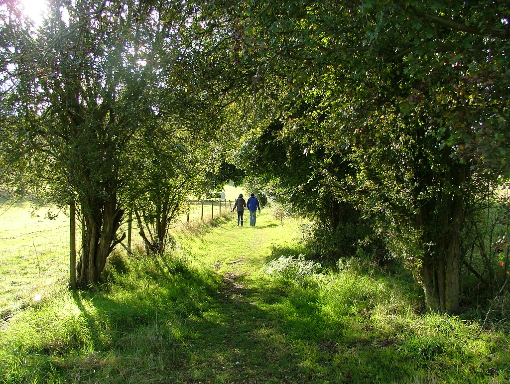Path to the Disraeli monument Tunnel of love Pete & Flickr