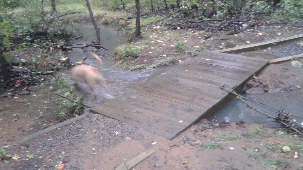 Truxton Park floodwaters Ken Mayer Flickr