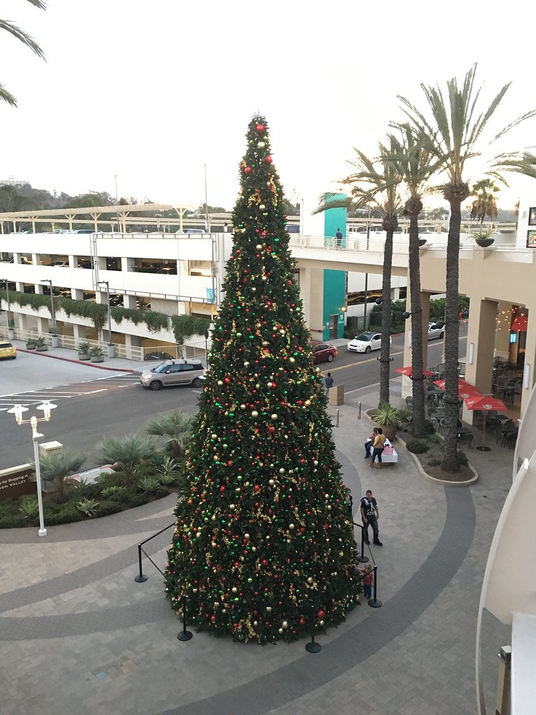 Wow! That's a nice Christmas tree This is the Christmas tr… Flickr