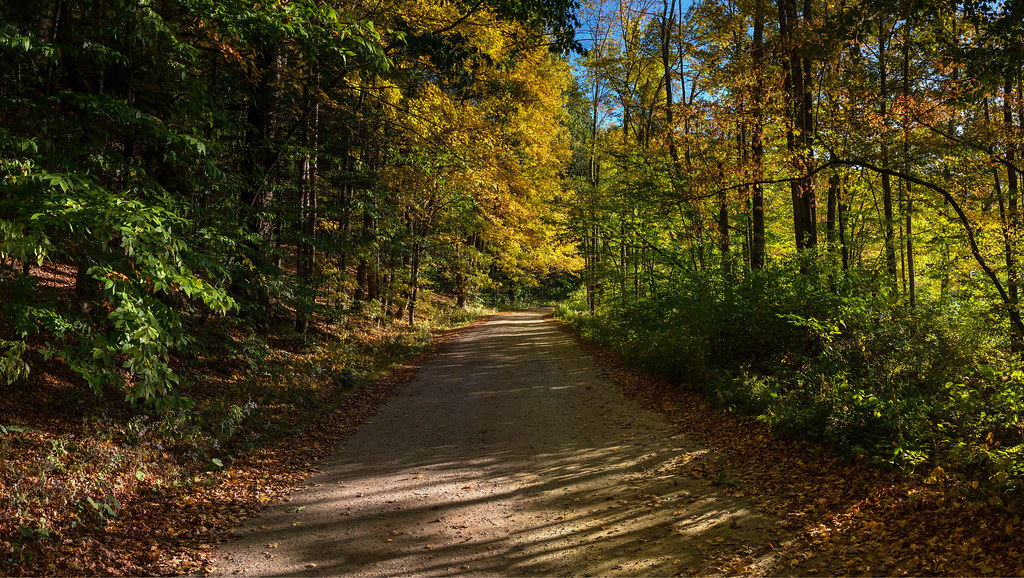October Mountain State Forest Massachusetts Cesar de Diego Flickr