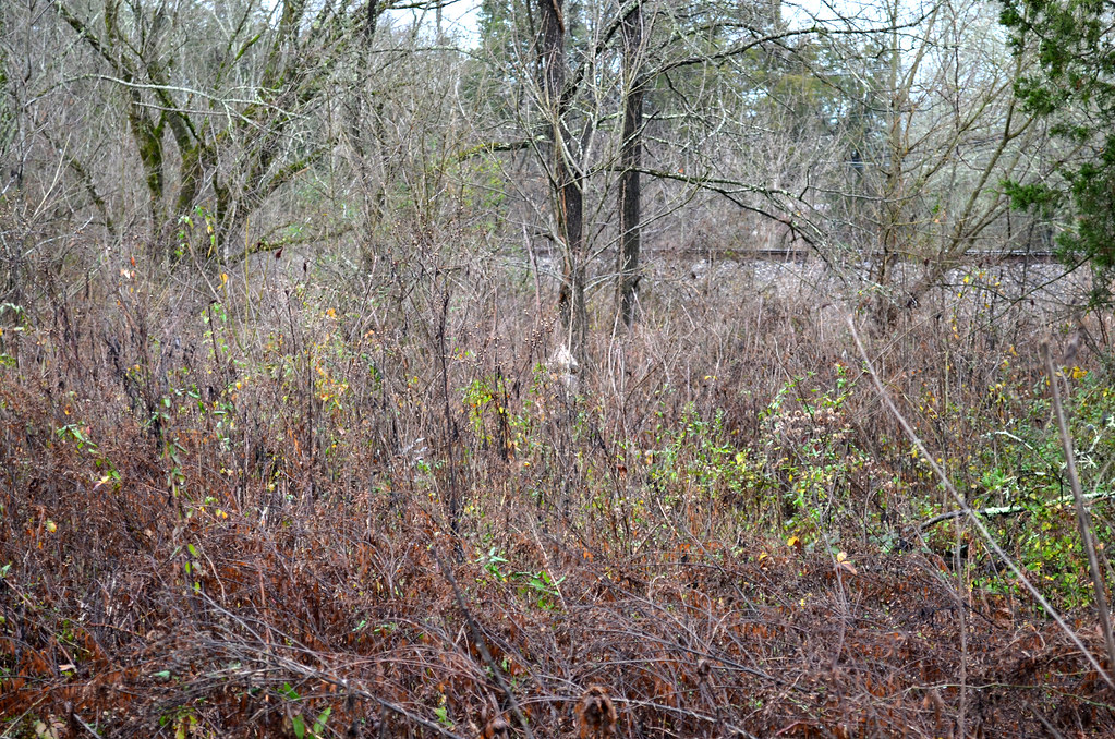 Circa 1810 Old Little Flat Creek Baptist Cemetery 01 Flickr