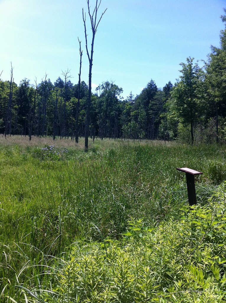 Drummond Woods Trail A portion of the North Country Trail … Flickr