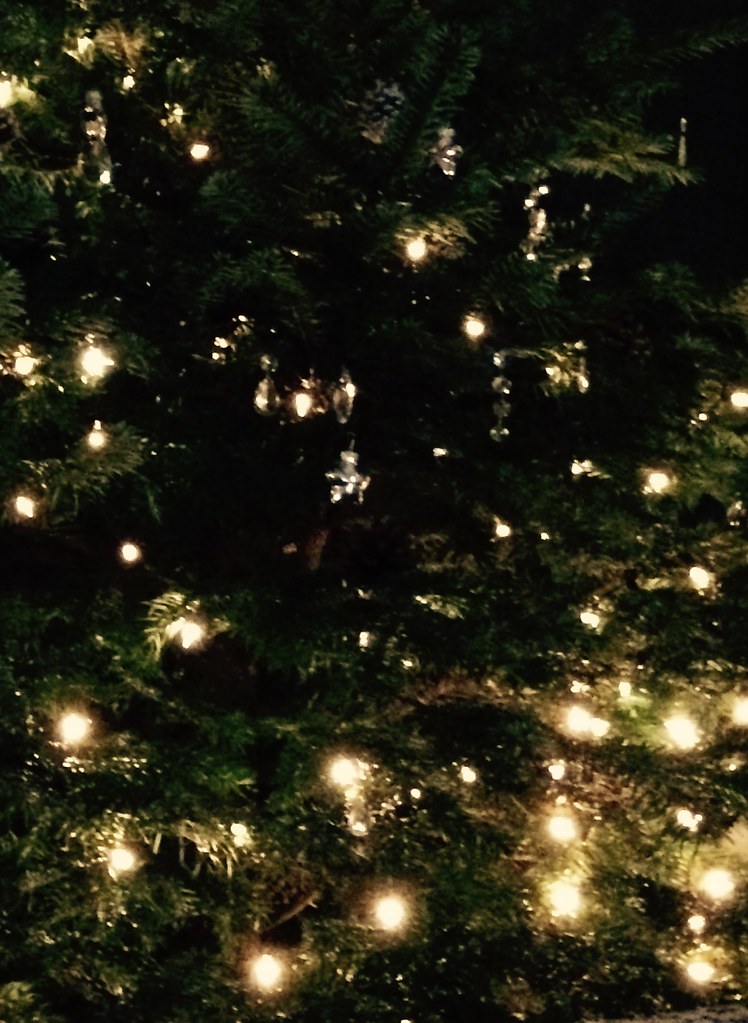 They have Christmas trees in Edinburgh too! judy dean Flickr