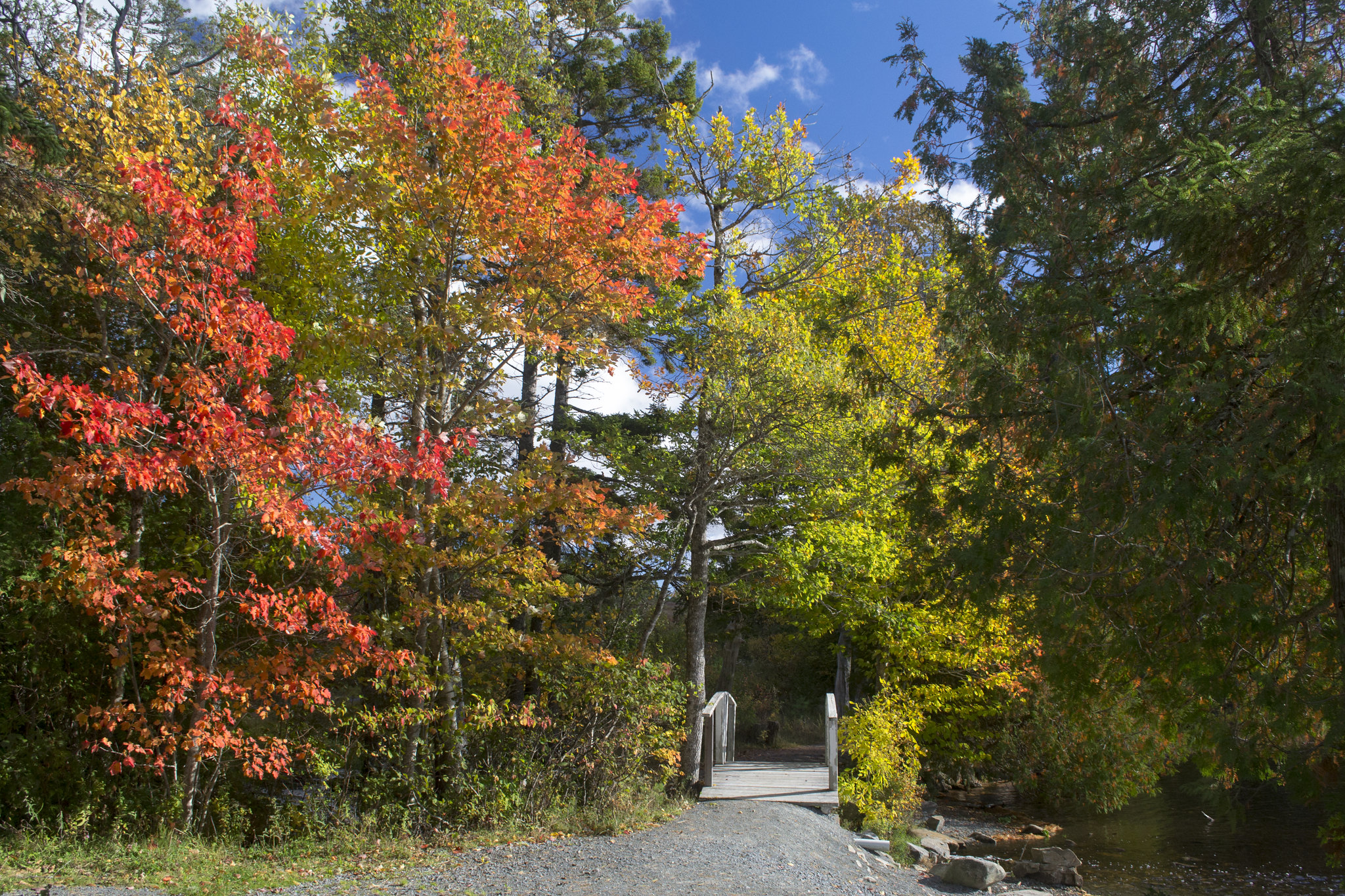 Photos Uniacke Estate Museum Park in Mount Uniacke, Nova Scotia