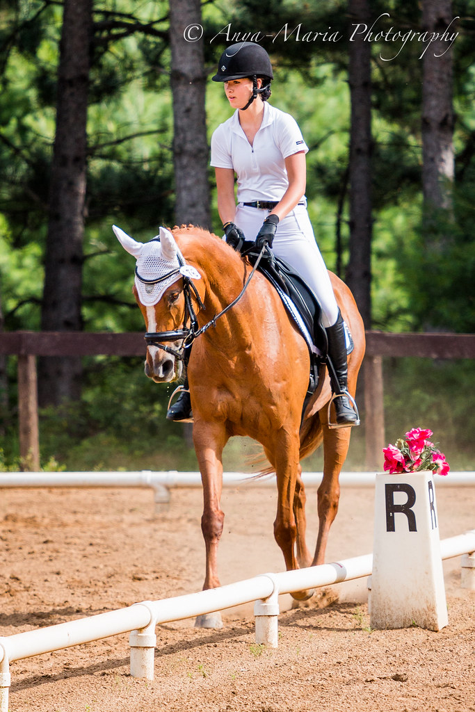 Otter Creek Dressage anyaotterson Flickr