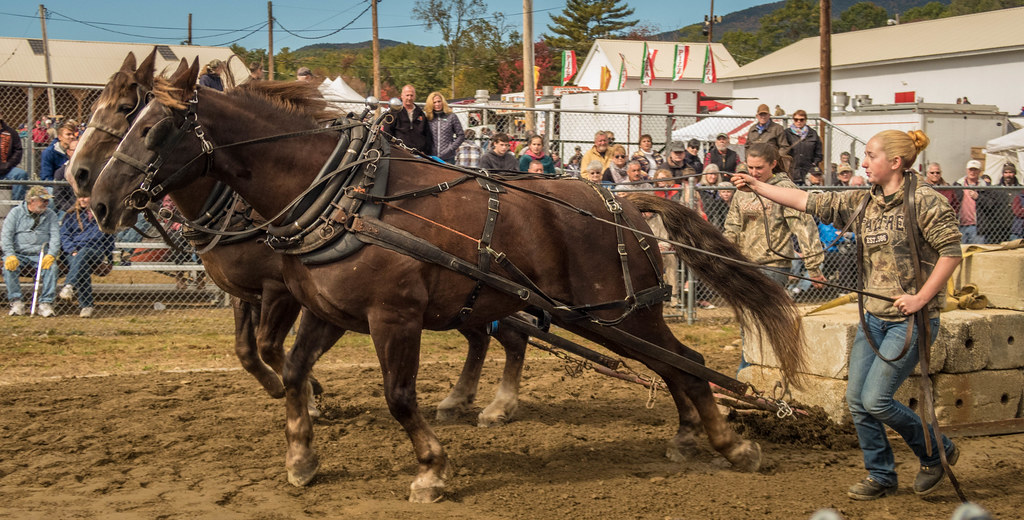 IMG_2384_SandwichFair Sandwich Fair NH Columbus Day Weeken… Flickr