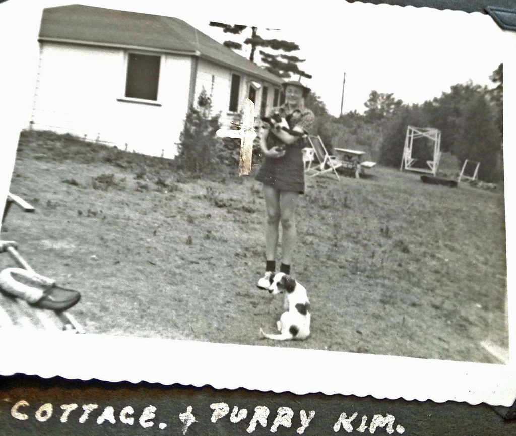 oak hill lake quinte west near stirling ontario john meyer… Flickr