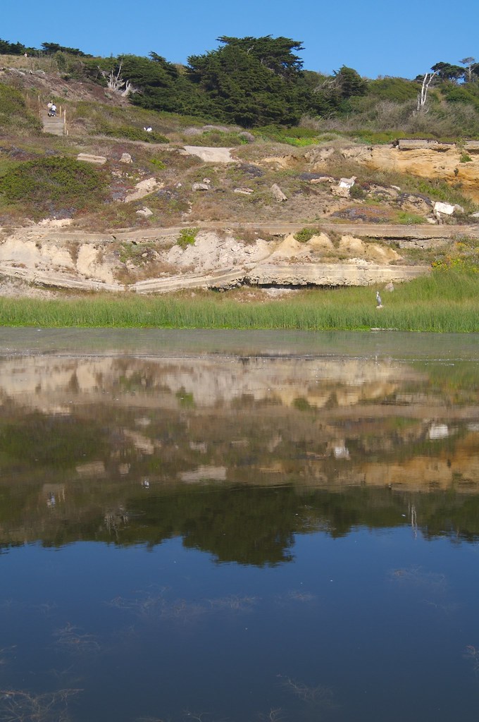 Cliff House Pool This is where the famous Cliff House Pool… Flickr