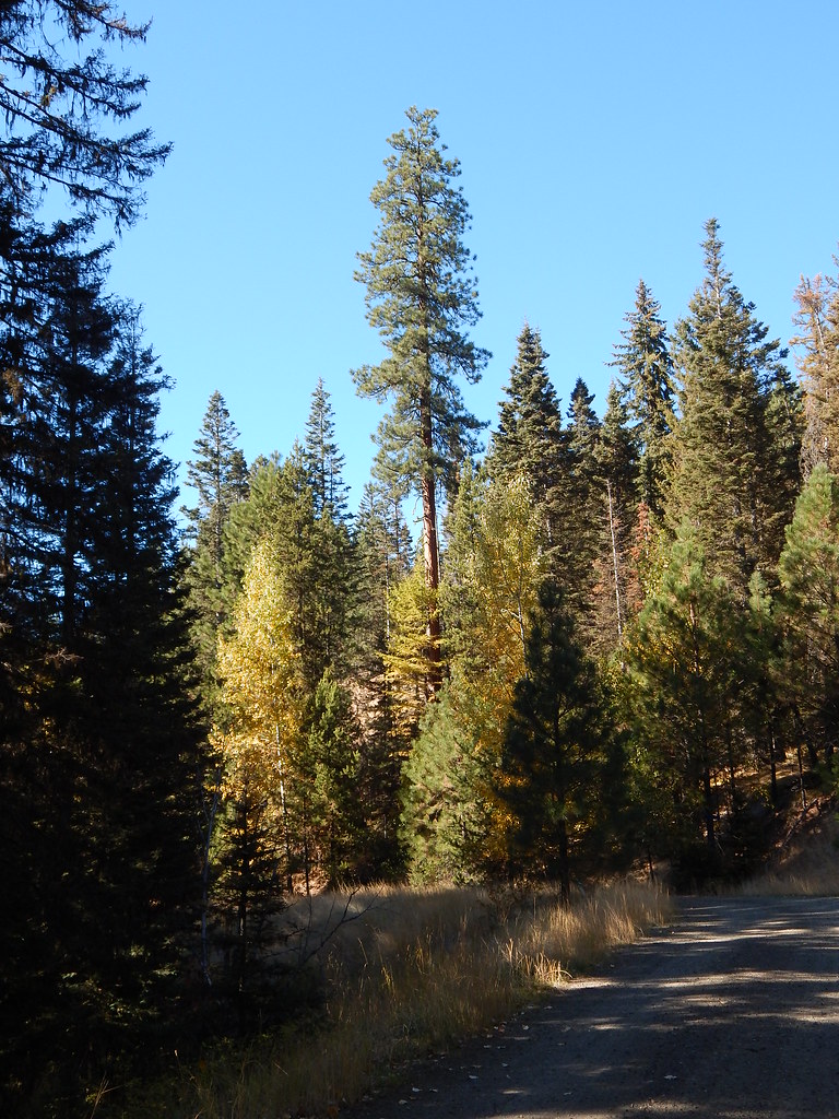 Blewett Pass 104 Don L Flickr
