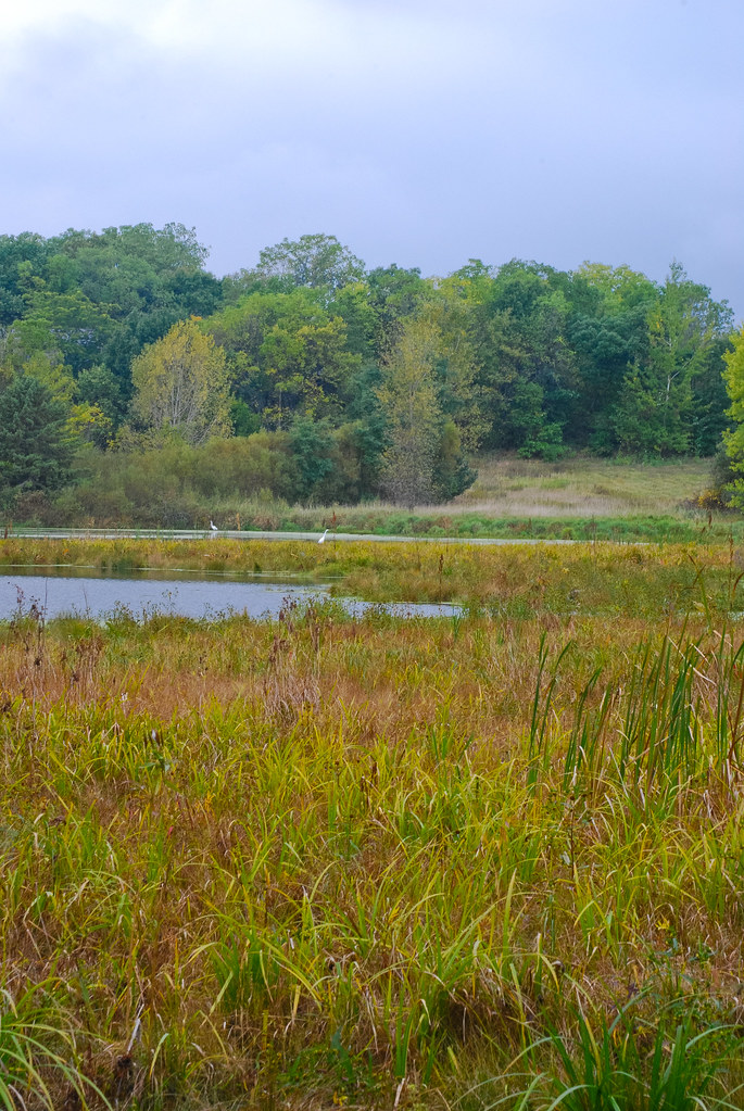 Wetland Red Cedar Lake Wisconsin State Natural Area 215 J… Flickr
