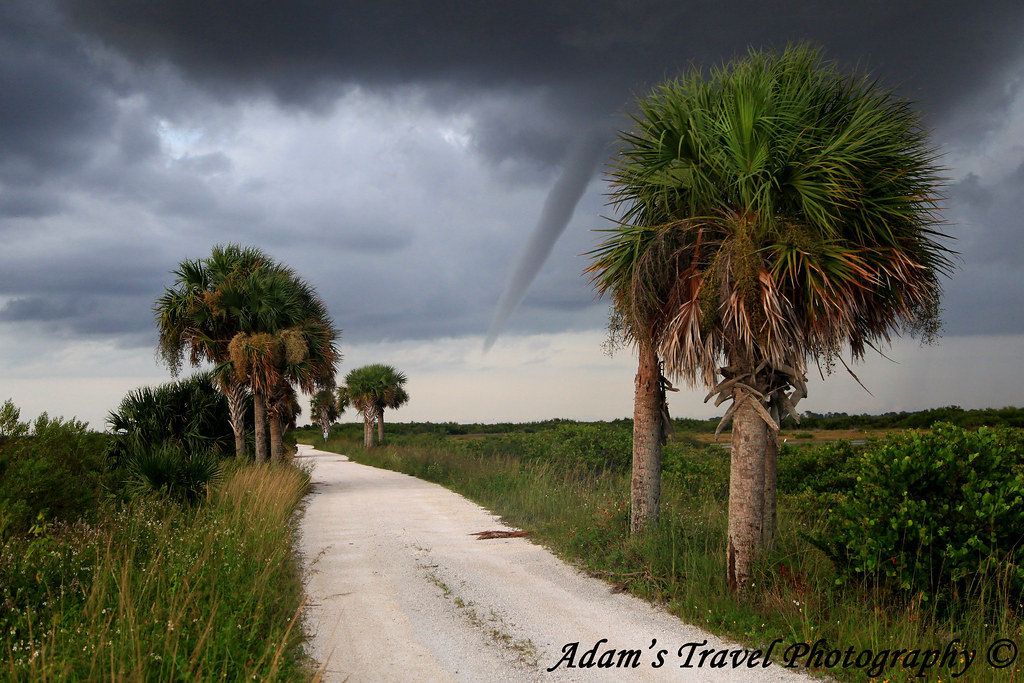 AGMI copy Adam Grim Flickr