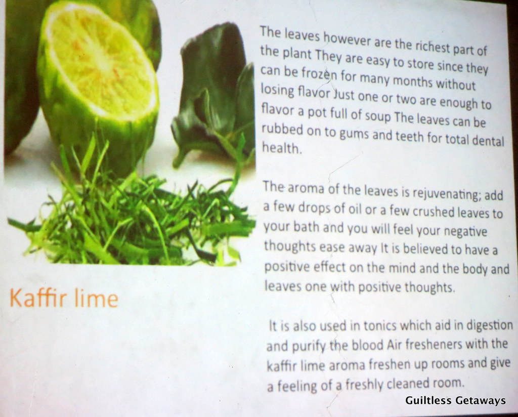 healthbenefitskaffirlimemarkut.jpg Savoring the Health… Flickr