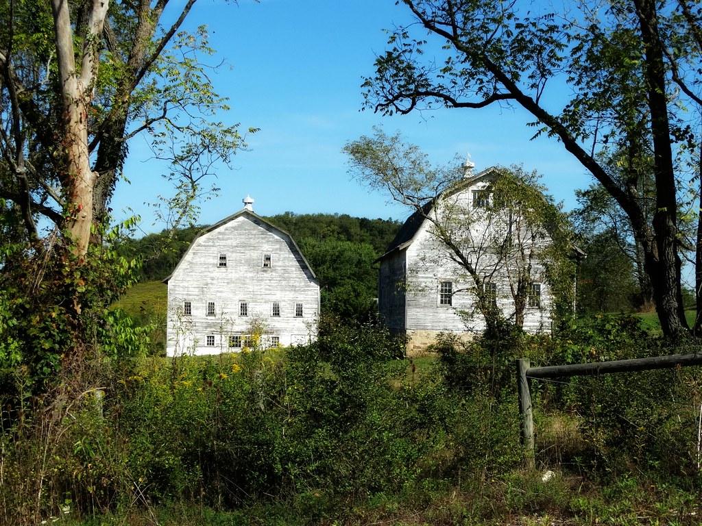 Siblings Lone Pine, Pennsylvania e r j k . a m e r j k a Flickr