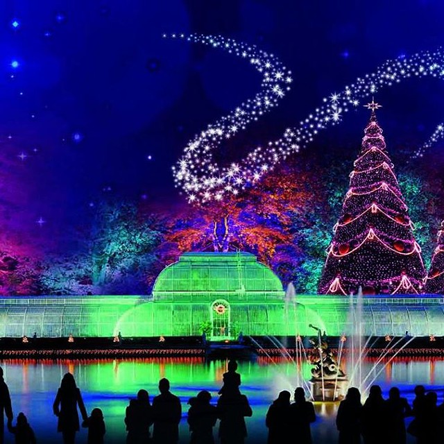 Christmas at Kew 50 Family tickets to give away Offers … Flickr