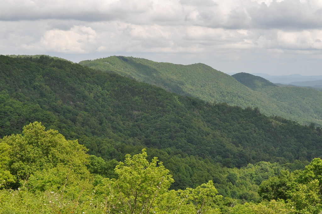 2542 Grandview Overlook Img_13703 13703 Grandview Overlook… Flickr