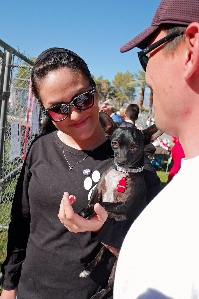 PALM DESERT DOG ADOPT XT10 16 Larry Mendelsohn Flickr
