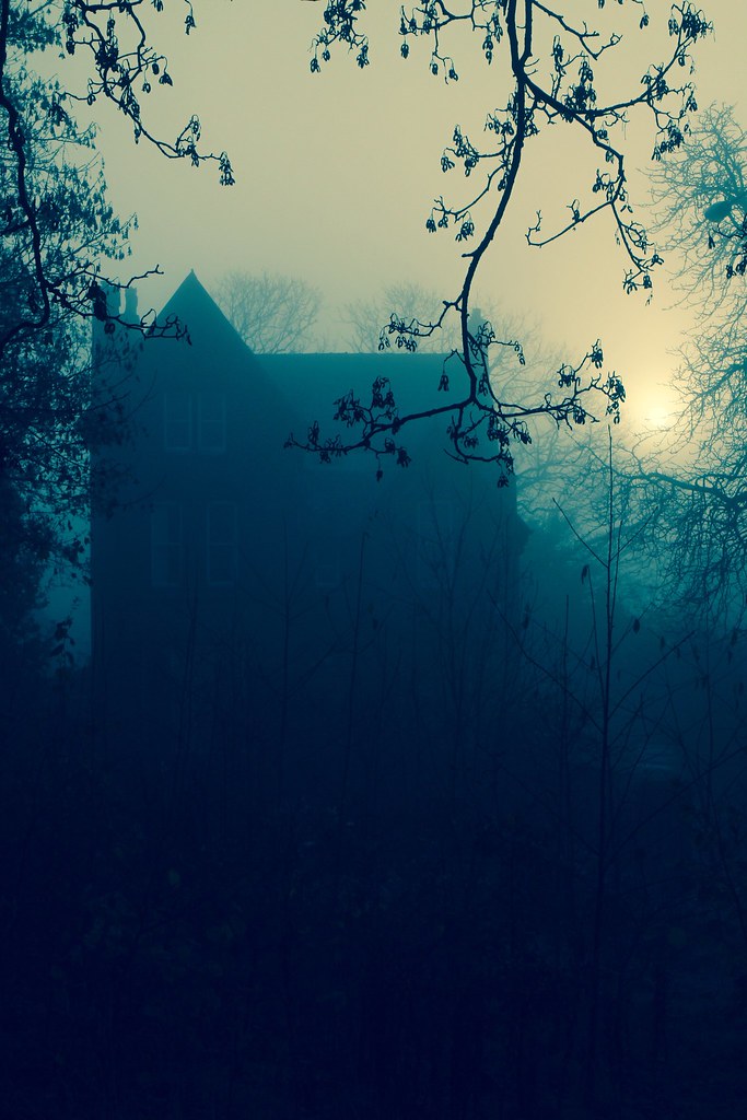 house on Ullet Road (blue dawn) Liverpool, England COPYRIG… Flickr