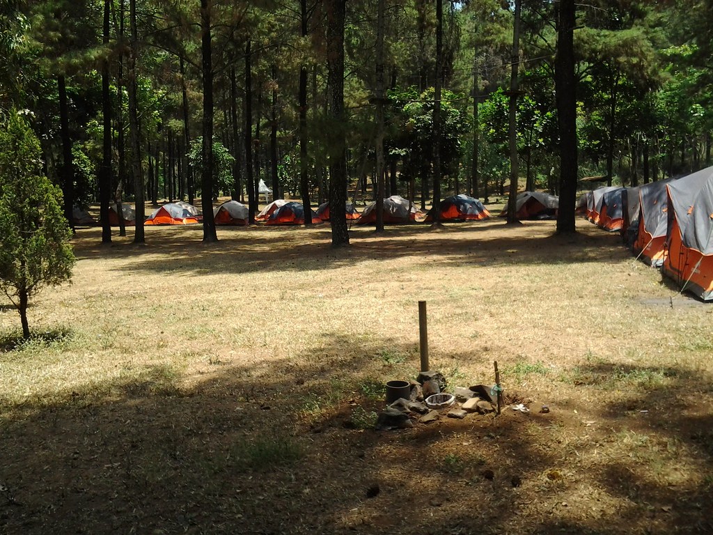 Camping Di The Pines Taman Dayu - Yuniari Nukti