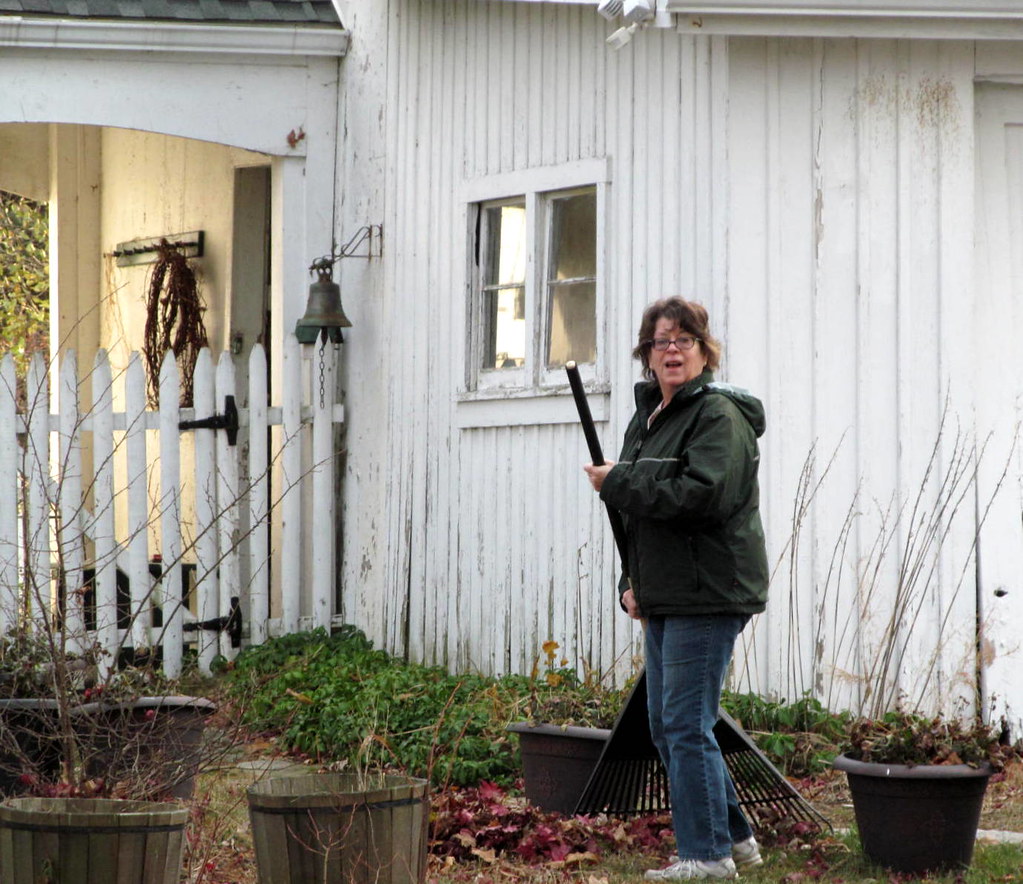 HI..... Good neighbor was raking leaves from around her ho… Flickr