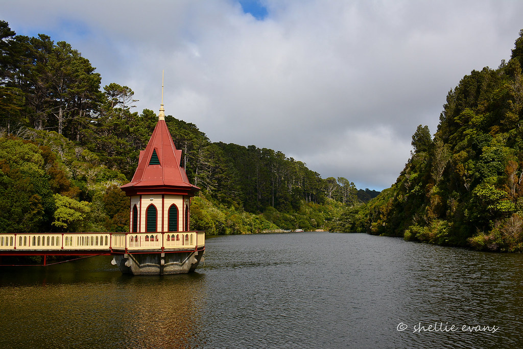 Zealandia Wildlife Sanctuary, Wellington Blog Post here T… Flickr