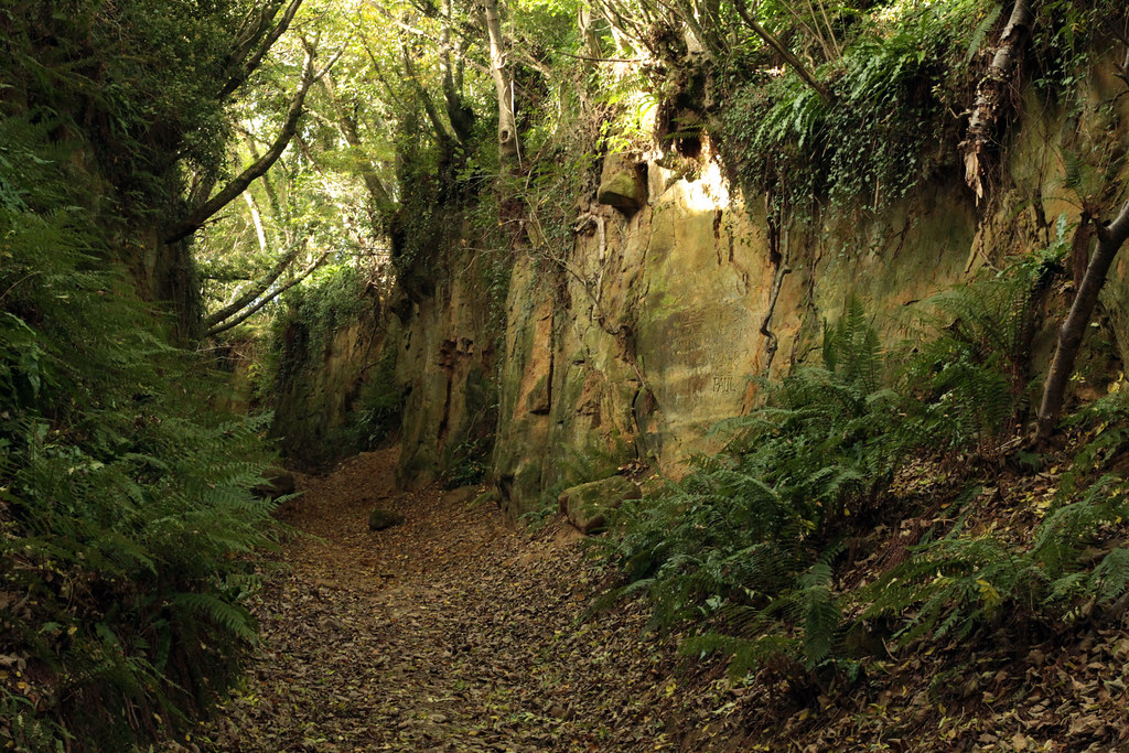 Hell Lane 07 An ancient Green Lane running between Symonds… Flickr