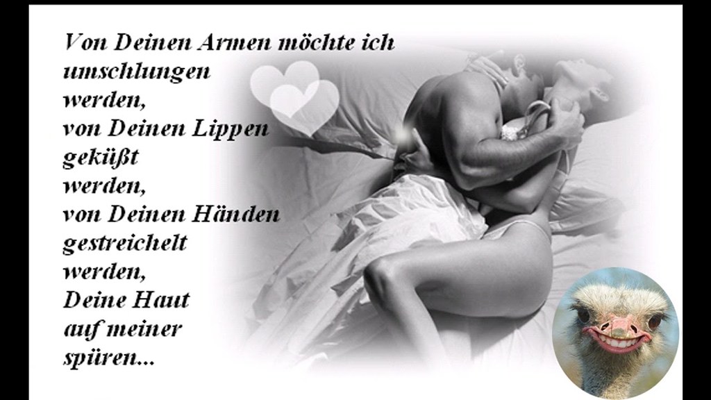 Lustige Geburtstagssprüche Mit Bilder
