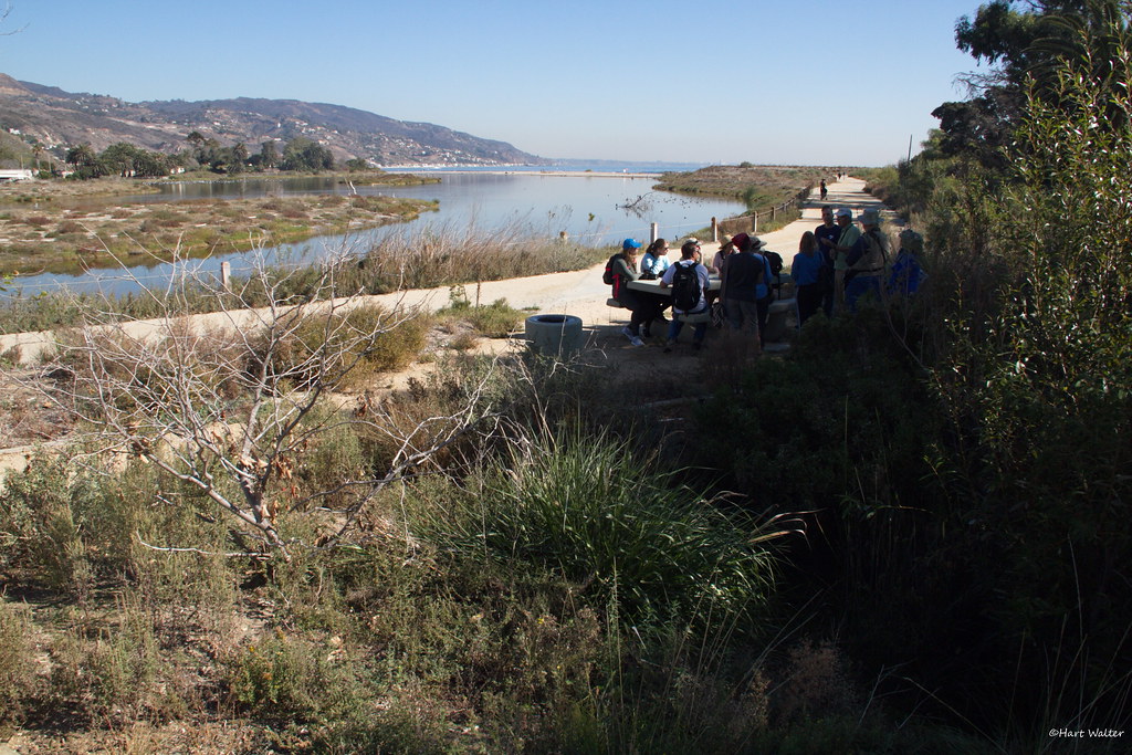 Friends of Geography, UCLA, at Malibu Lagoon CA IMG_2562 Flickr