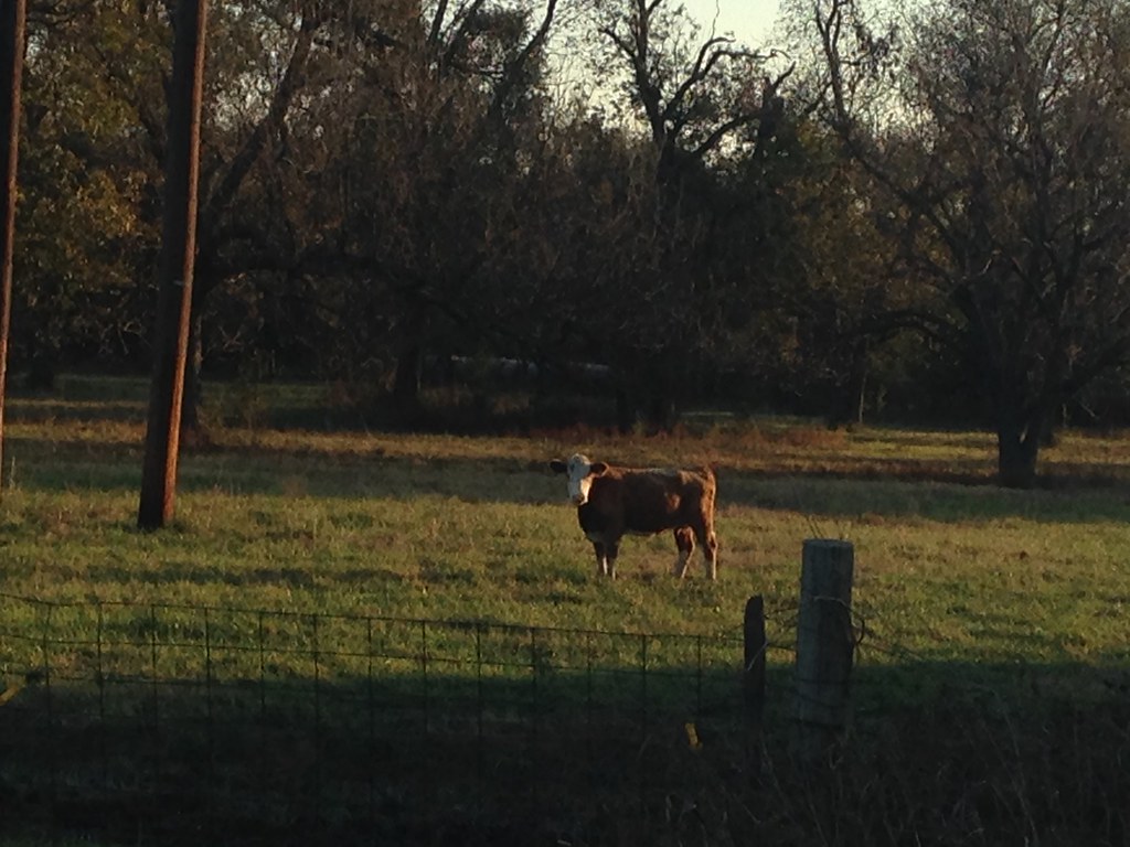 Osage_030 Osage Prairie Trail, Tulsa, Sperry, Skiatook, Ok… Flickr