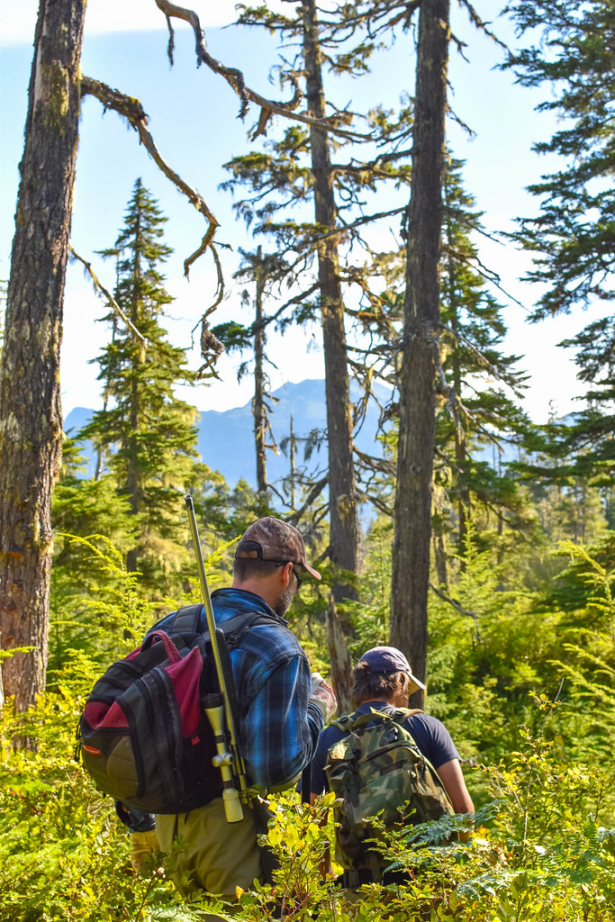 Hoonah Native Forest Partnership Pink Salmon Surveys Flickr
