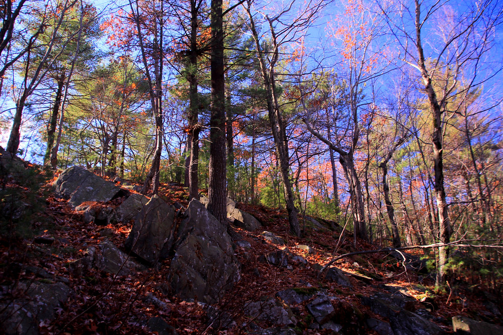 Fall 2015, Blue Hills Reservation, Novmeber 8, 2015 Flickr