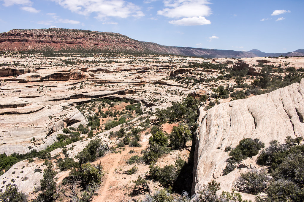 _MG_9268a Natural Bridges National Monument, Utah. Some An… Flickr