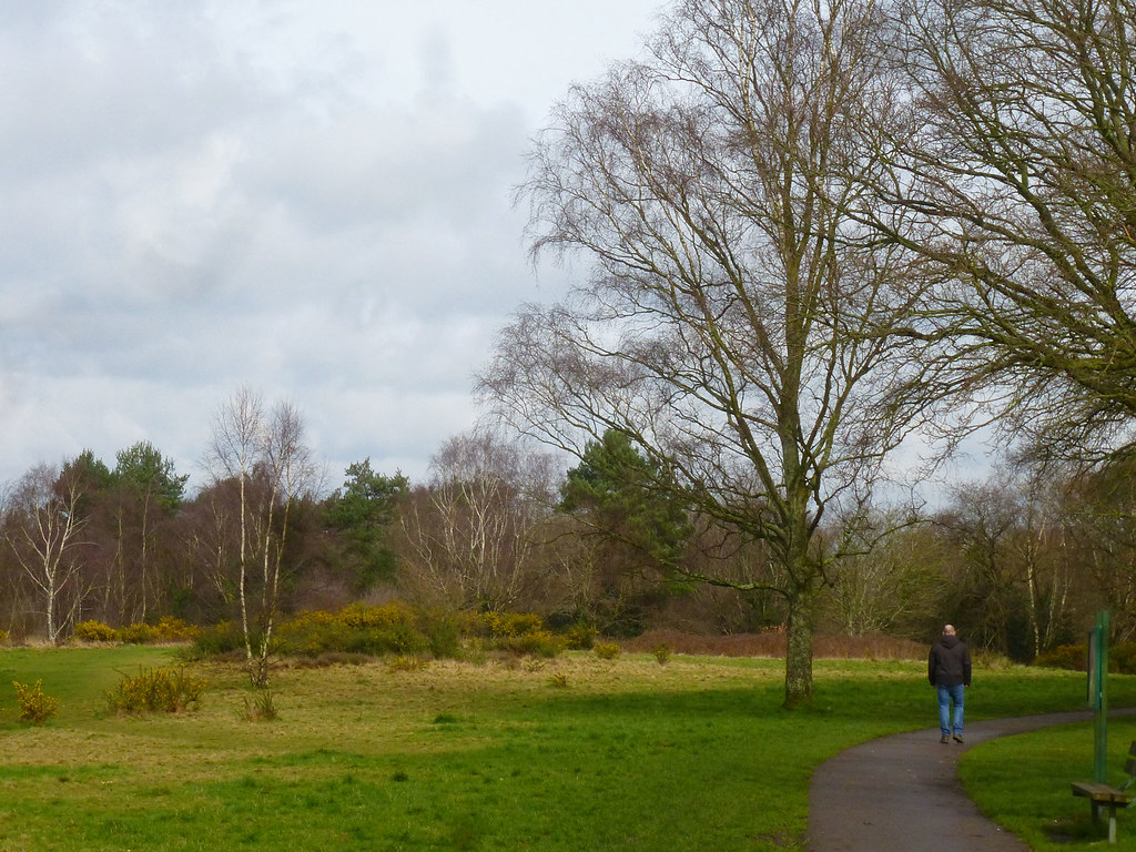 Redhill Park in March Our Daily Challenge 915 March I L… Flickr