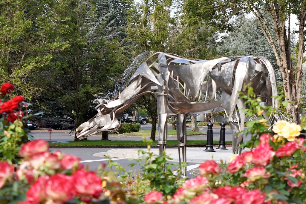 Horse in the West, Wilsonville, Oregon This beautiful hors… Flickr