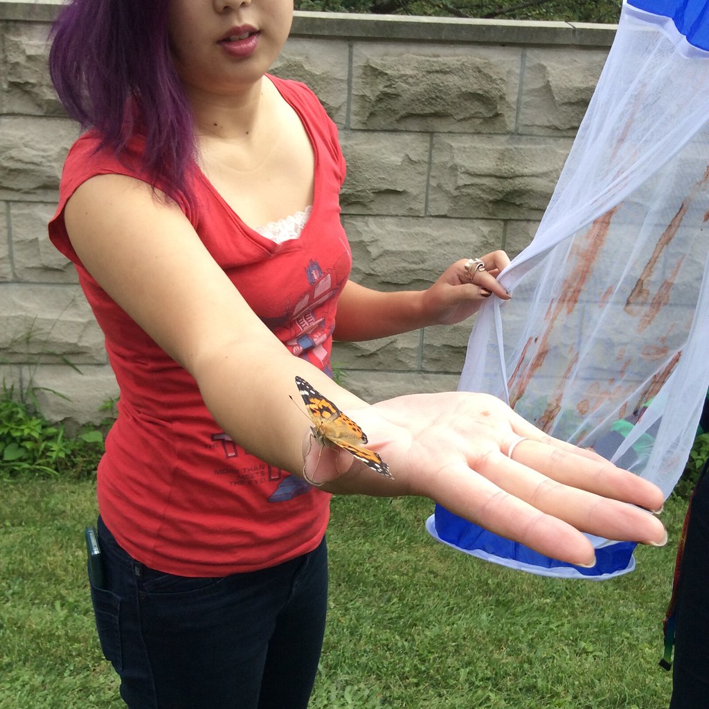 IMG_1039 Butterfly release event at Oshtemo Branch Library… Flickr