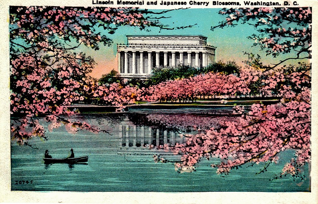 Lincoln Memorial and Japanese Cherry Blossoms, Washington,… Flickr