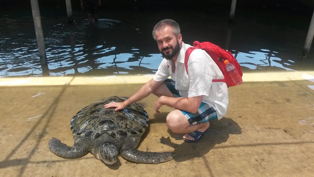 Jawa i Bali (225) Turtle Park / Serangan Island / Bali