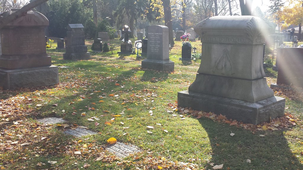 20161118_120440 Shannon Stafford Flickr