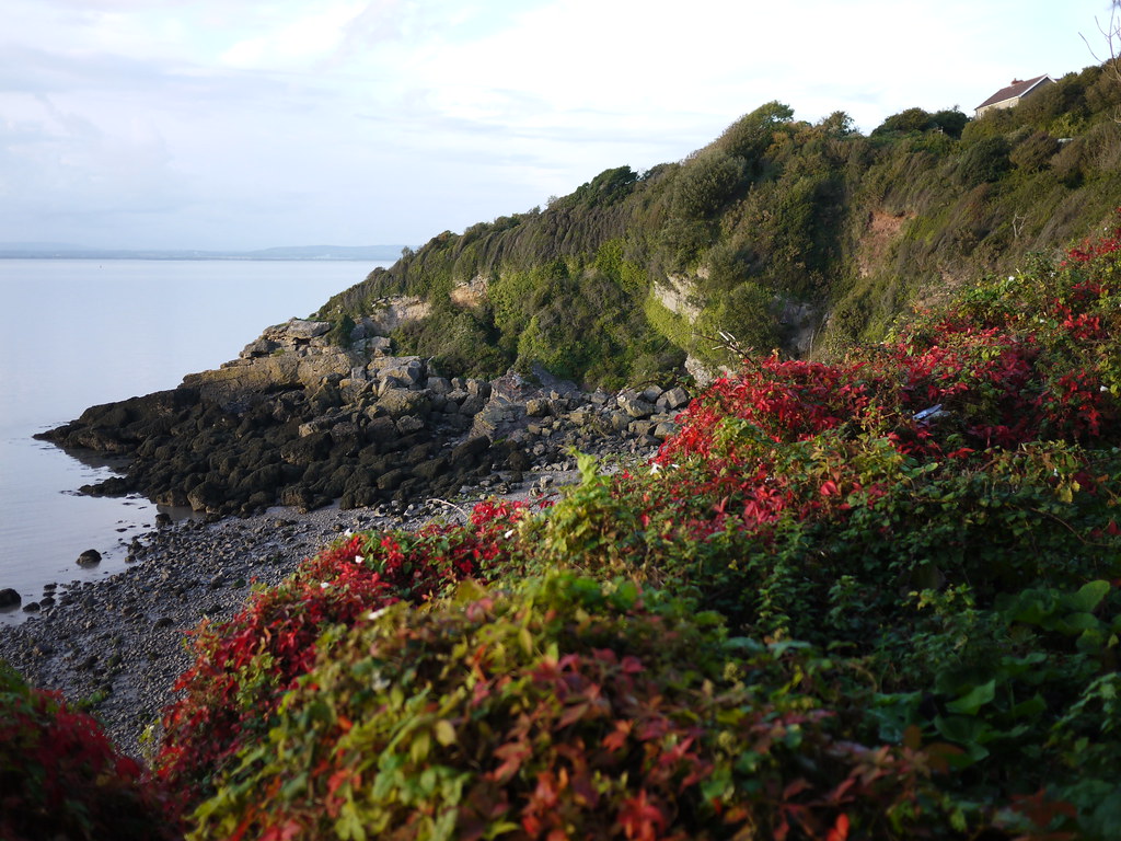 Ladye Bay, Clevedon John Honniball Flickr
