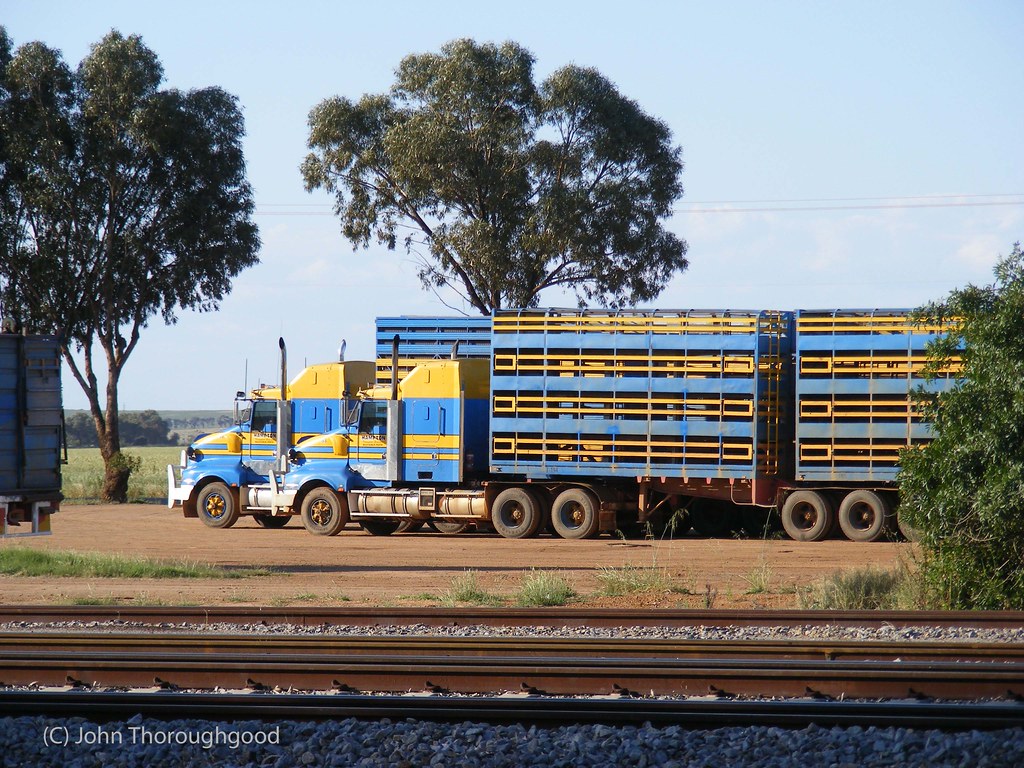Hampton stock trucks Outside Geraldton WA. John Flickr