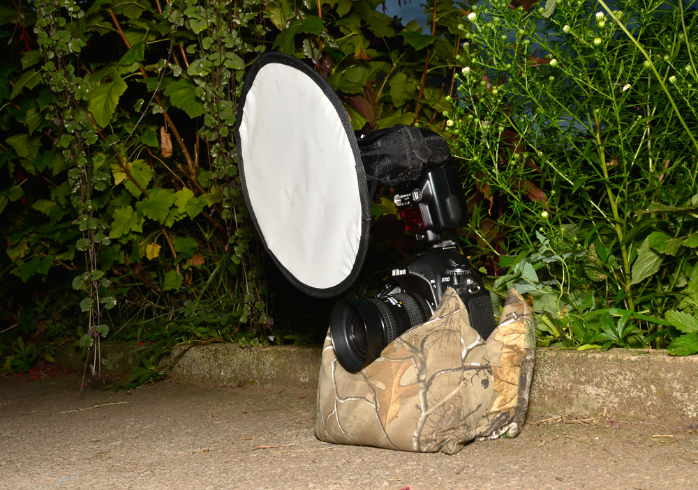 Hedgehog set up using a Double bean bag My garden hedgehog… Flickr