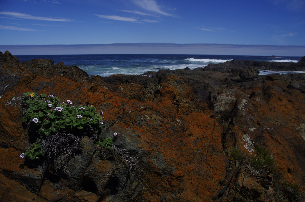 Gardiner Point Erika Flickr