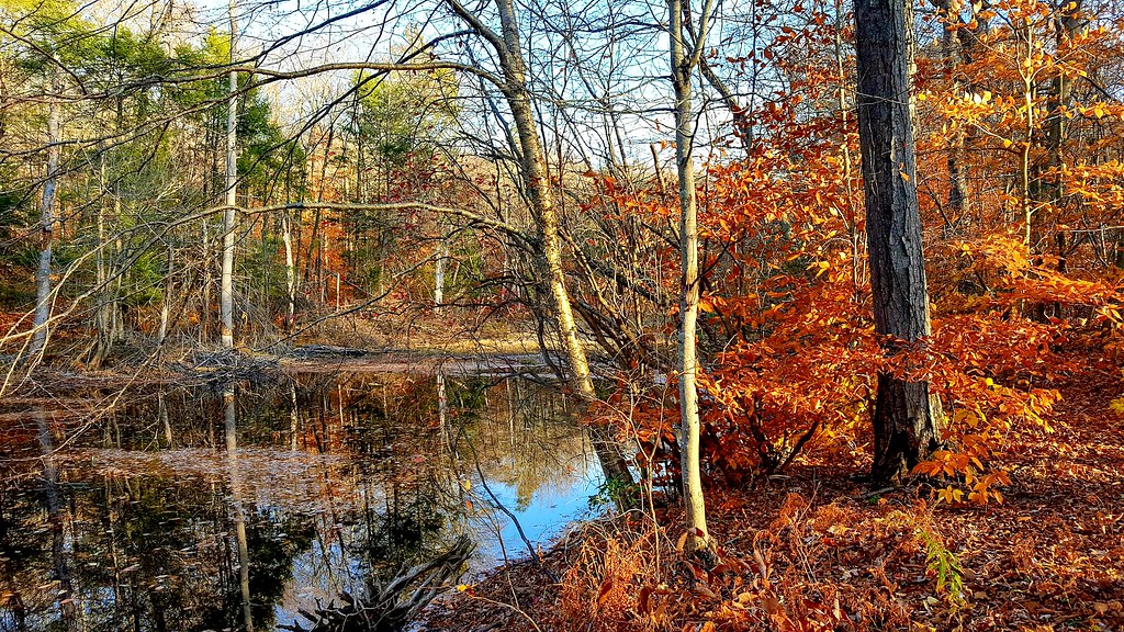 Carlson Pond Hurd State Park, East Hampton, Connecticut keith thom Flickr