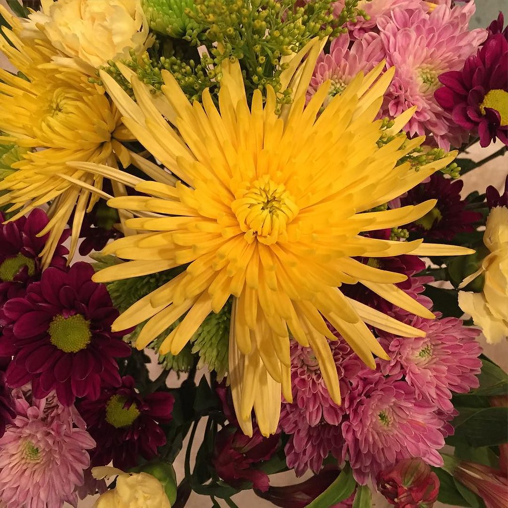 Flowers for no reason = the best kind. 🌼🌺🌻🌸 by jamiefi… Flickr