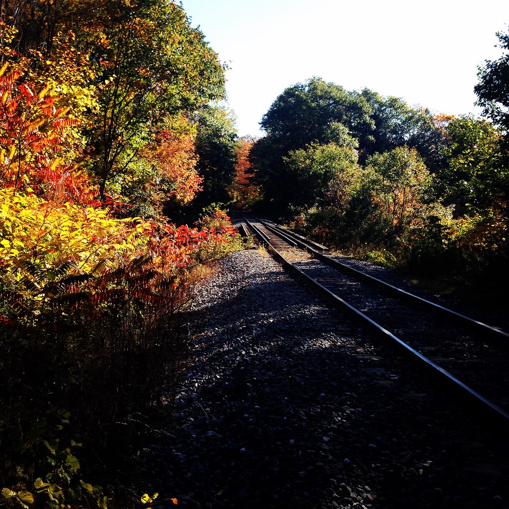 Trestle Brockway Mills Rockingham, VT Tim Gould Flickr