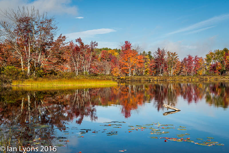 Elevation of East River Road, E River Rd, Skowhegan, ME, USA