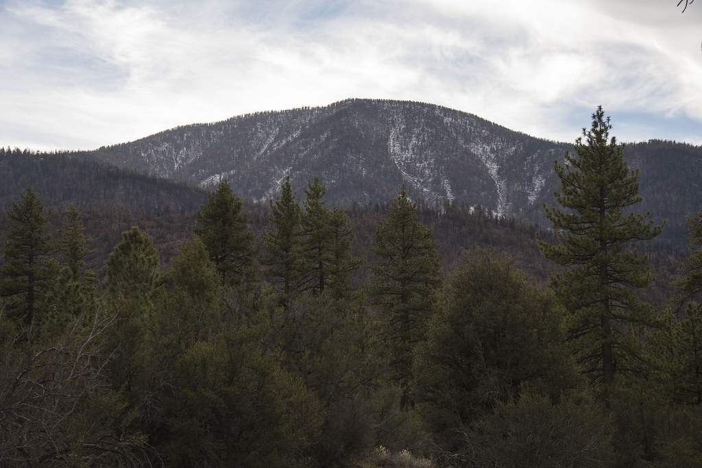 Coon Creek Cabin Recreational Area Photo Daniel Torok / … Flickr