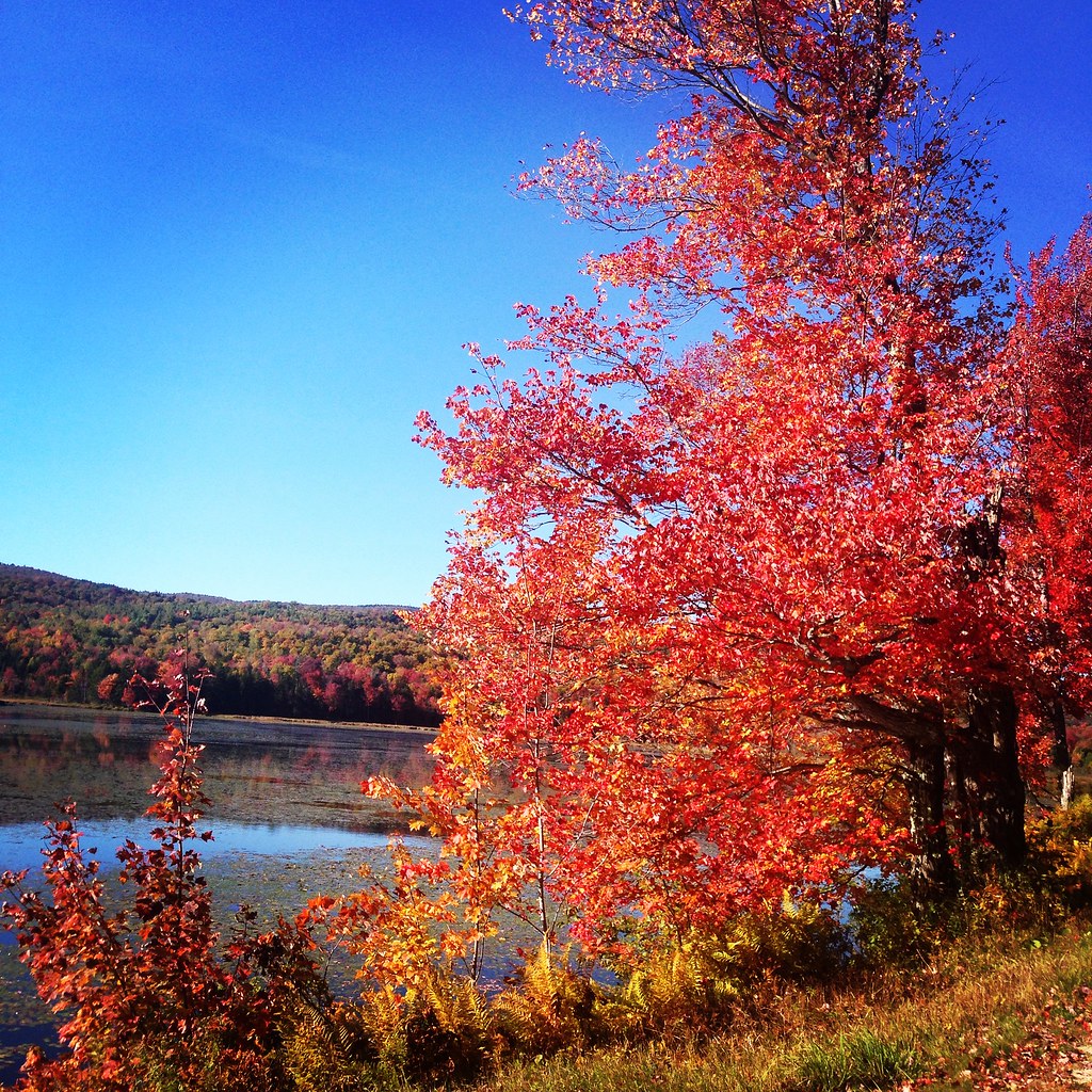 Windham, VT Burbee Pond Tim Gould Flickr