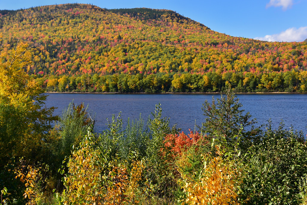 Humber Valley Color I've just uploaded two photos to show … Flickr