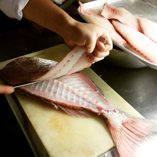｢鯛の三枚おろし｣ 見た目以上に力と技術が必要な作業でございます。毎日新鮮な魚を仕入れておりますので、お造りはもちろ… Flickr